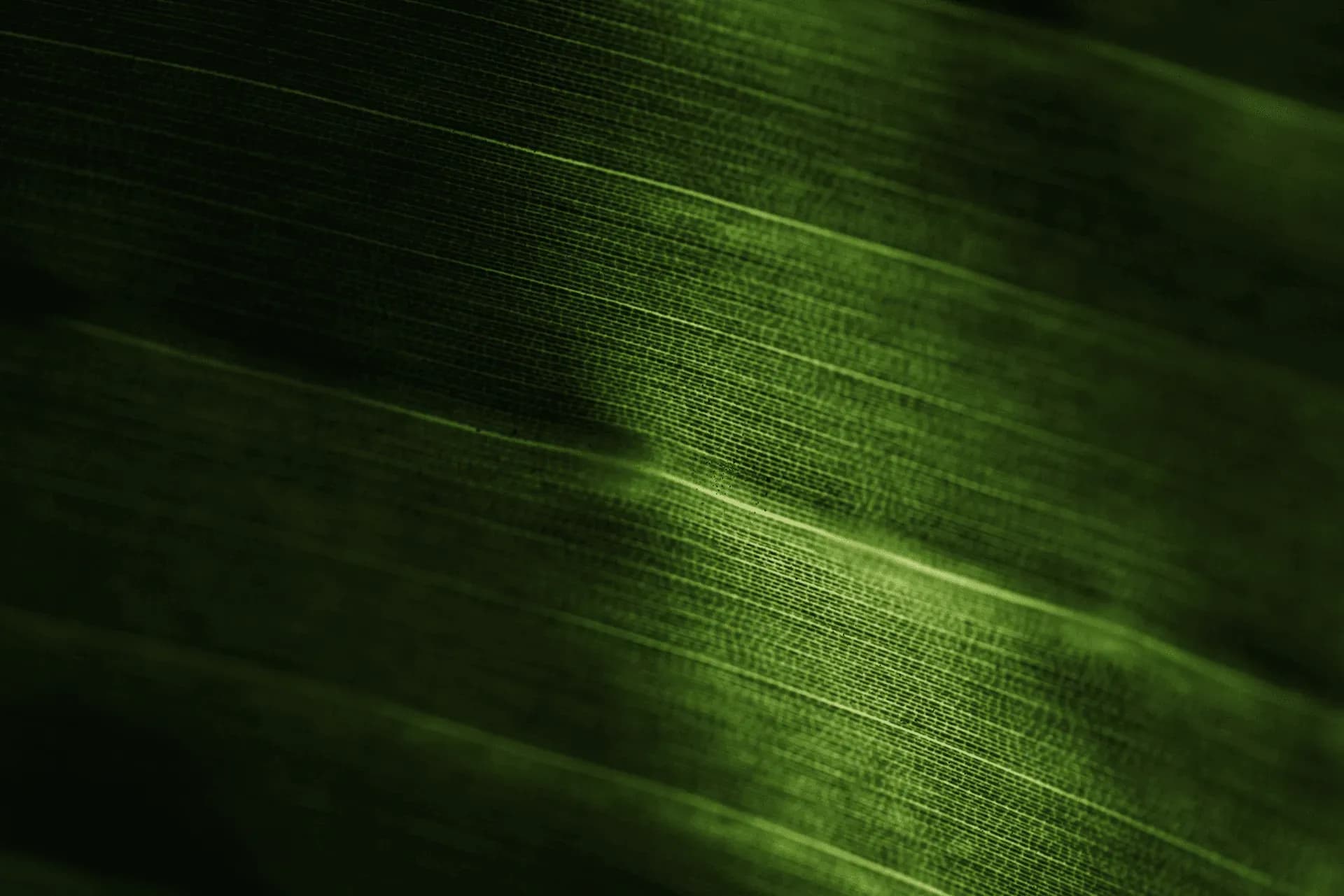 Imagem de responsabilidade ambiental